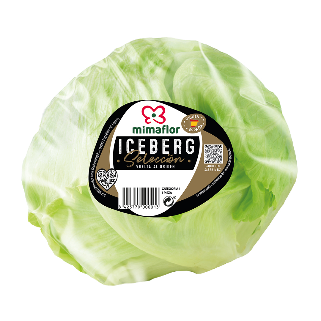 LECHUGA ICEBERG PREMIUM WEB