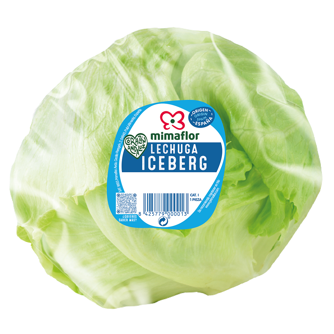 LECHUGA ICEBERG MIMAFLOR