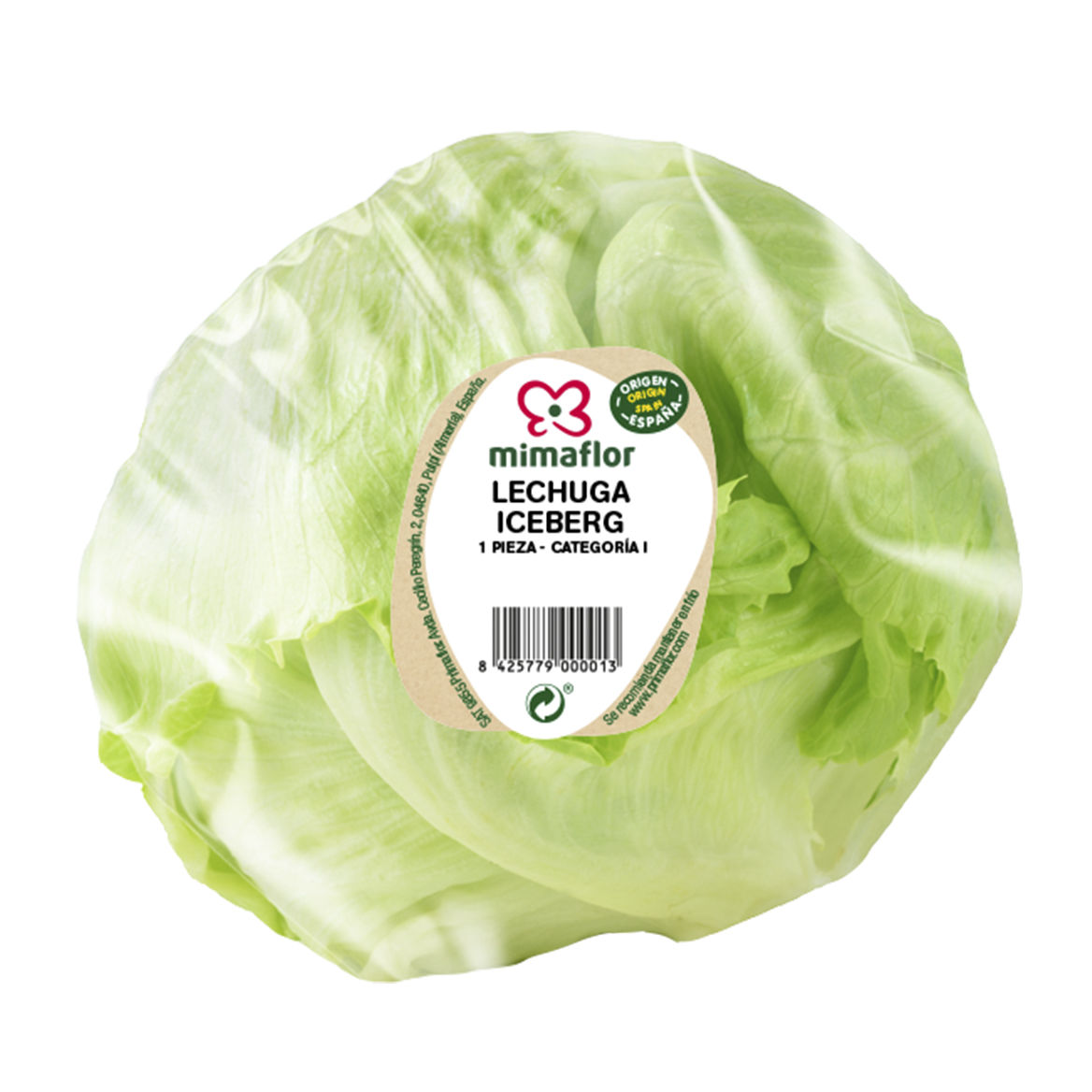 lechuga iceberg mimaflor