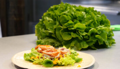 Ensalada de hoja de roble con queso de cabra y cebolla caramelizada