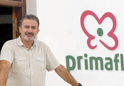 CARLOS OLMOS DIRECTOR COMERCIAL PRIMAFLOR