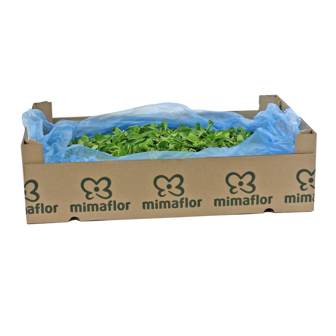 caja rucula 3kg mimaflor