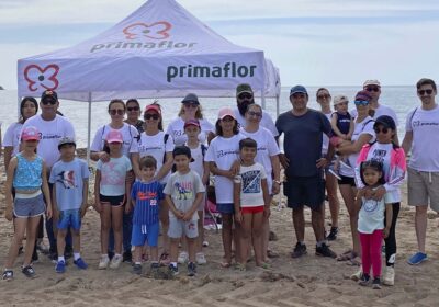 Fundación Primaflor