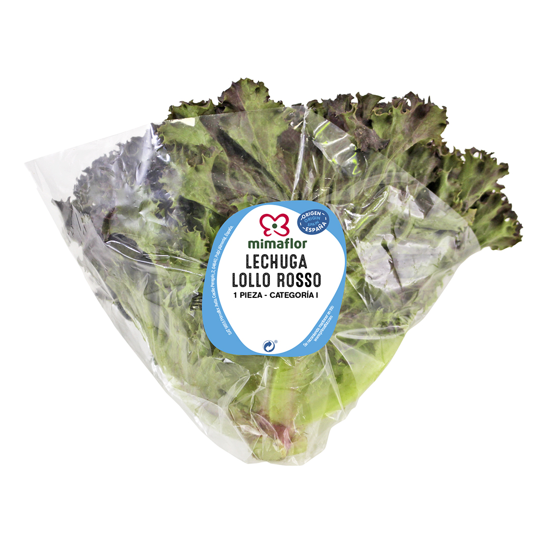 LECHUGA LOLLO ROSSO MIMAFLOR