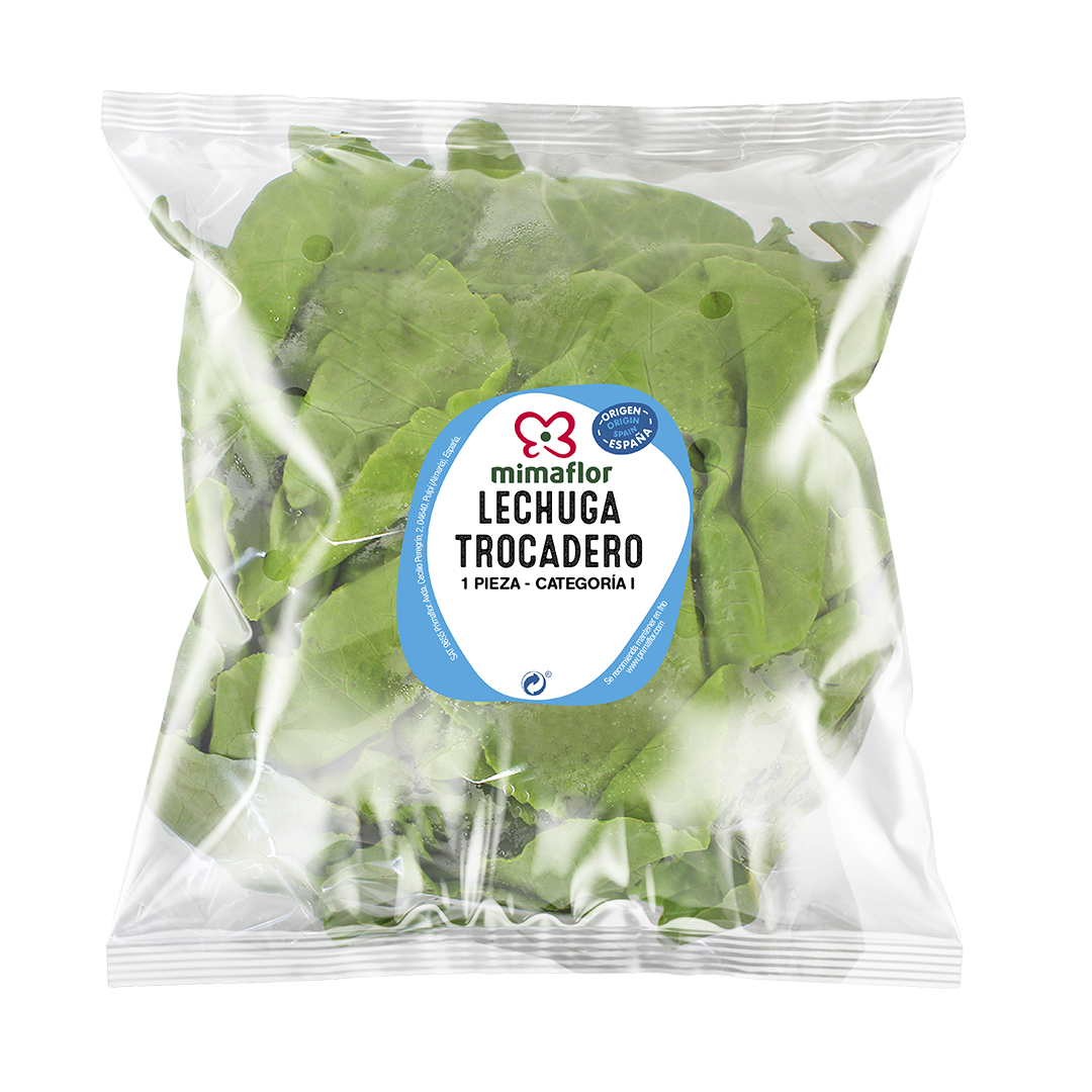 LECHUGA TROCADERO MIMAFLOR